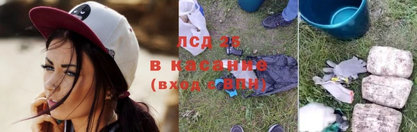 прущие грибы Горно-Алтайск