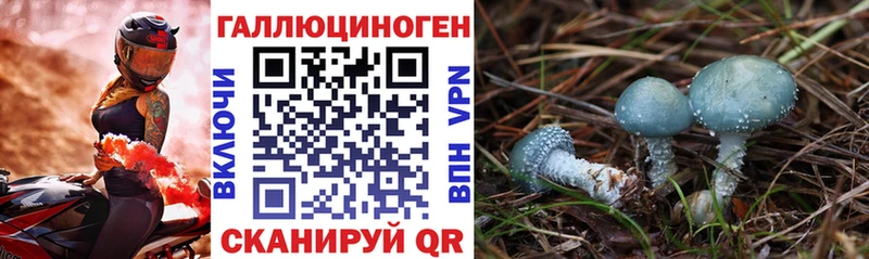 сколько стоит  Билибино  shop наркотические препараты  Галлюциногенные грибы прущие грибы 